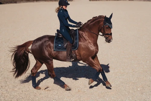 owijki dla koni granatowe equestrian stockholm  (2).webp