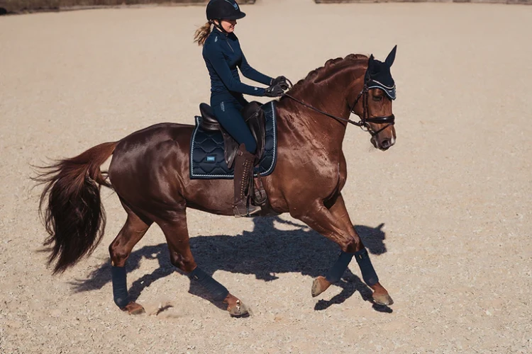 owijki dla koni granatowe equestrian stockholm  (2).webp