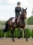 czaprak skokowy różowy equestrian stockholm  (2).webp