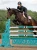 czaprak skokowy różowy equestrian stockholm  (3).webp