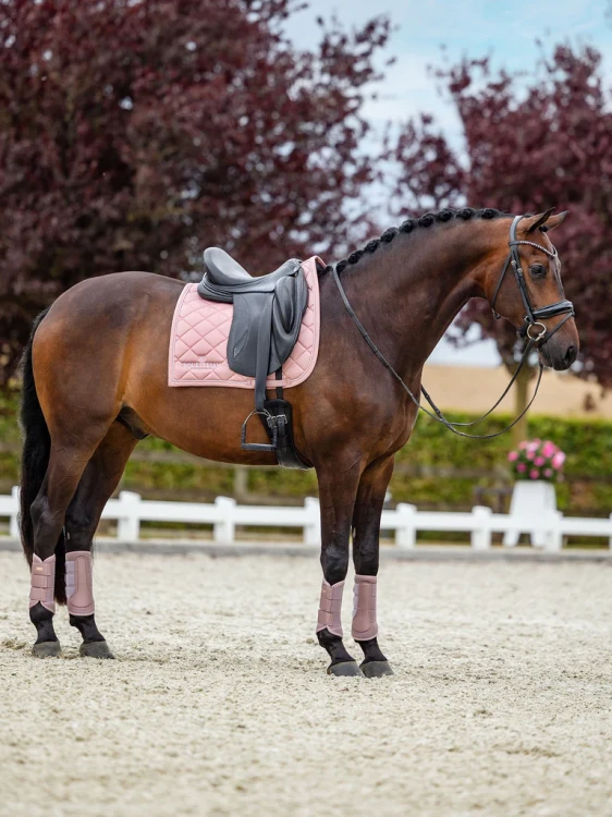 czaprak ujeżdżeniowy różowy equestrian stockholm  (7).webp