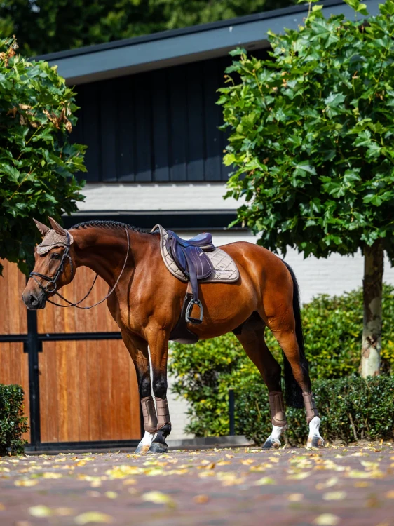 czaprak skokowy beżowy equestrian stockholm  (3).webp