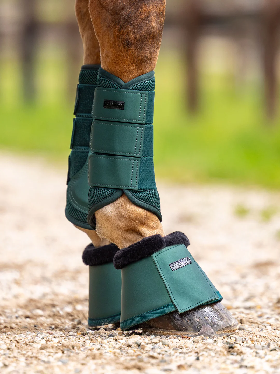 kaloszki dla koni zielone zycamore green equestrian stockholm  (3).webp