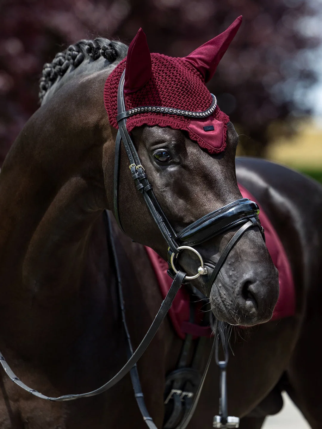 nauszniki bordowe merlot equestrian stockholm  (1).webp