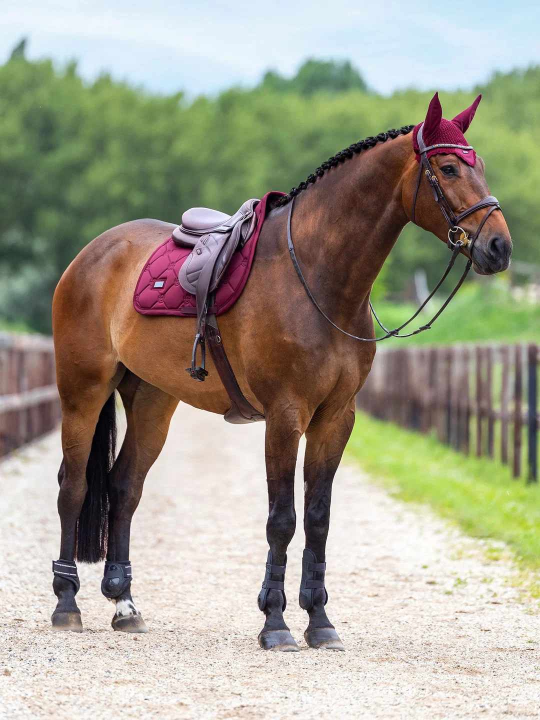 nauszniki bordowe merlot equestrian stockholm  (2).webp