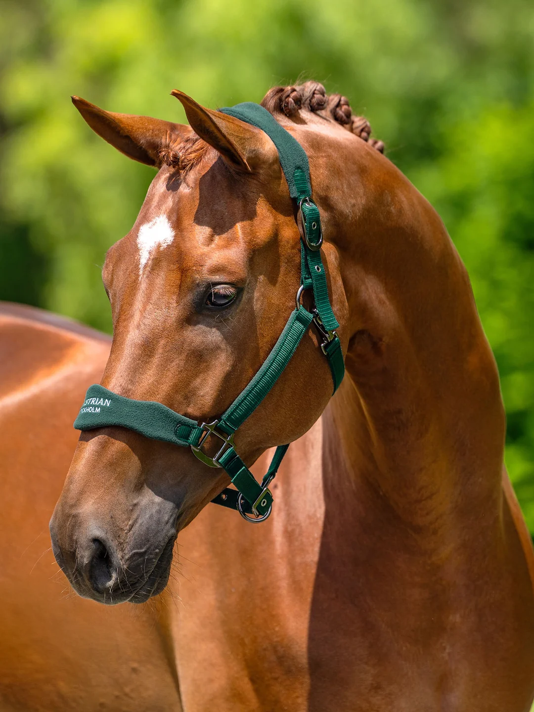 kantar anatomiczny zielony sycamore green equestrian stockholm  (1).webp