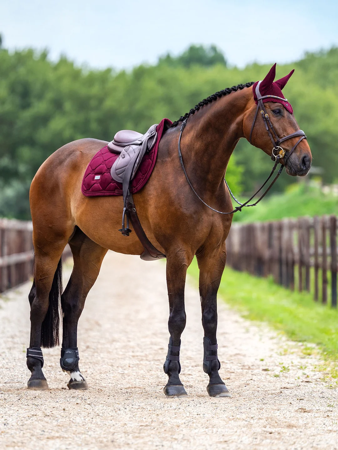 nauszniki velvet merlot equestrian stockholm  (2).webp