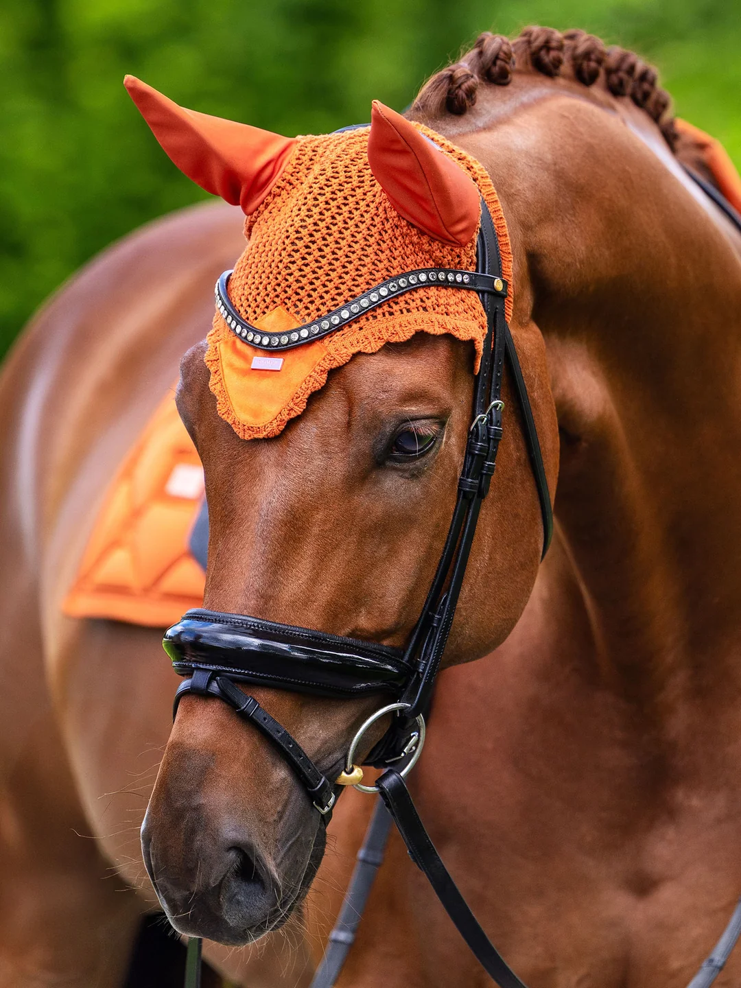 nauszniki pomarańczowe chestnut velvet equestrian stockholm  (1).webp
