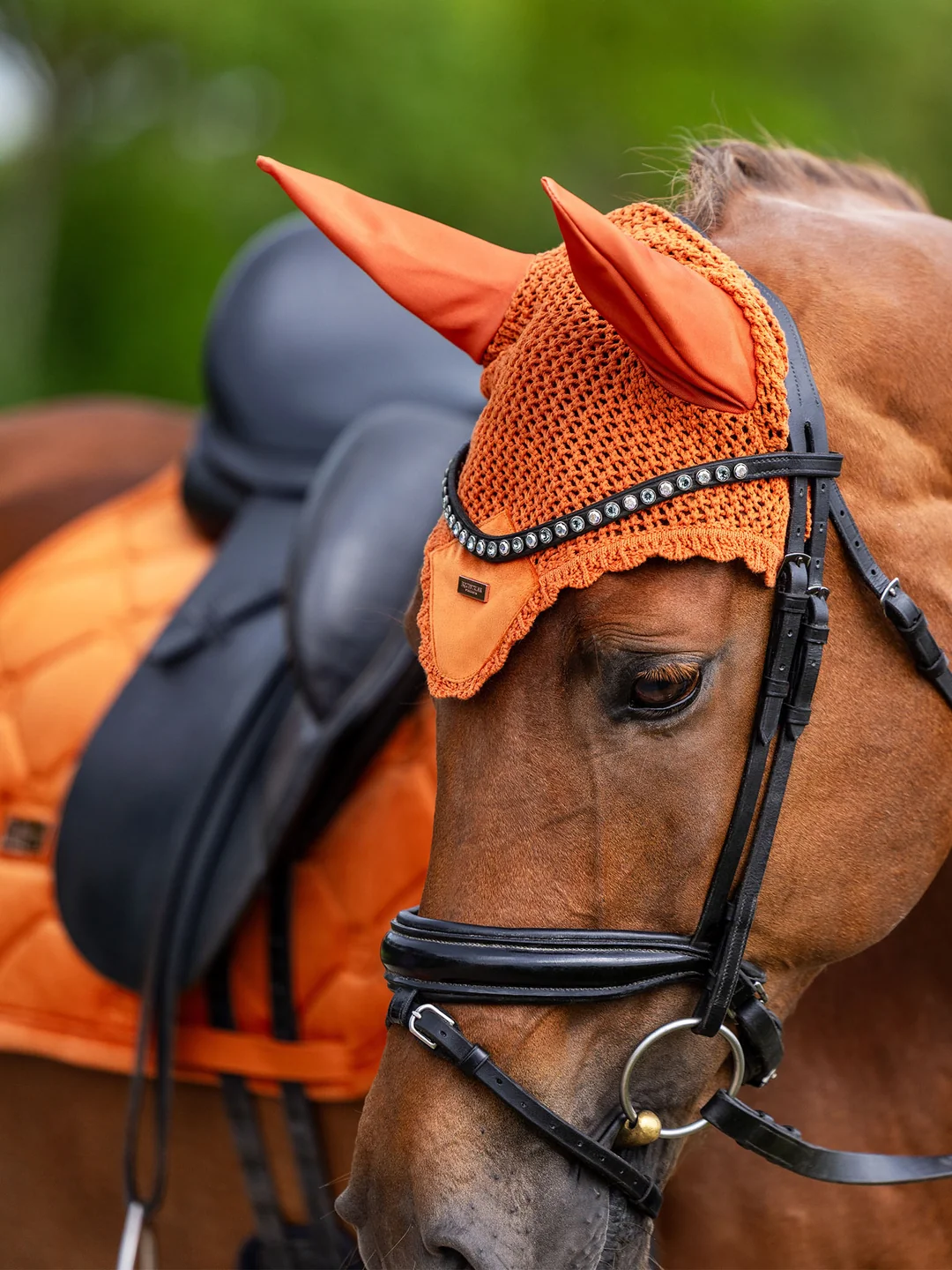 nauszniki pomarańczowe chestnut velvet equestrian stockholm  (2).webp