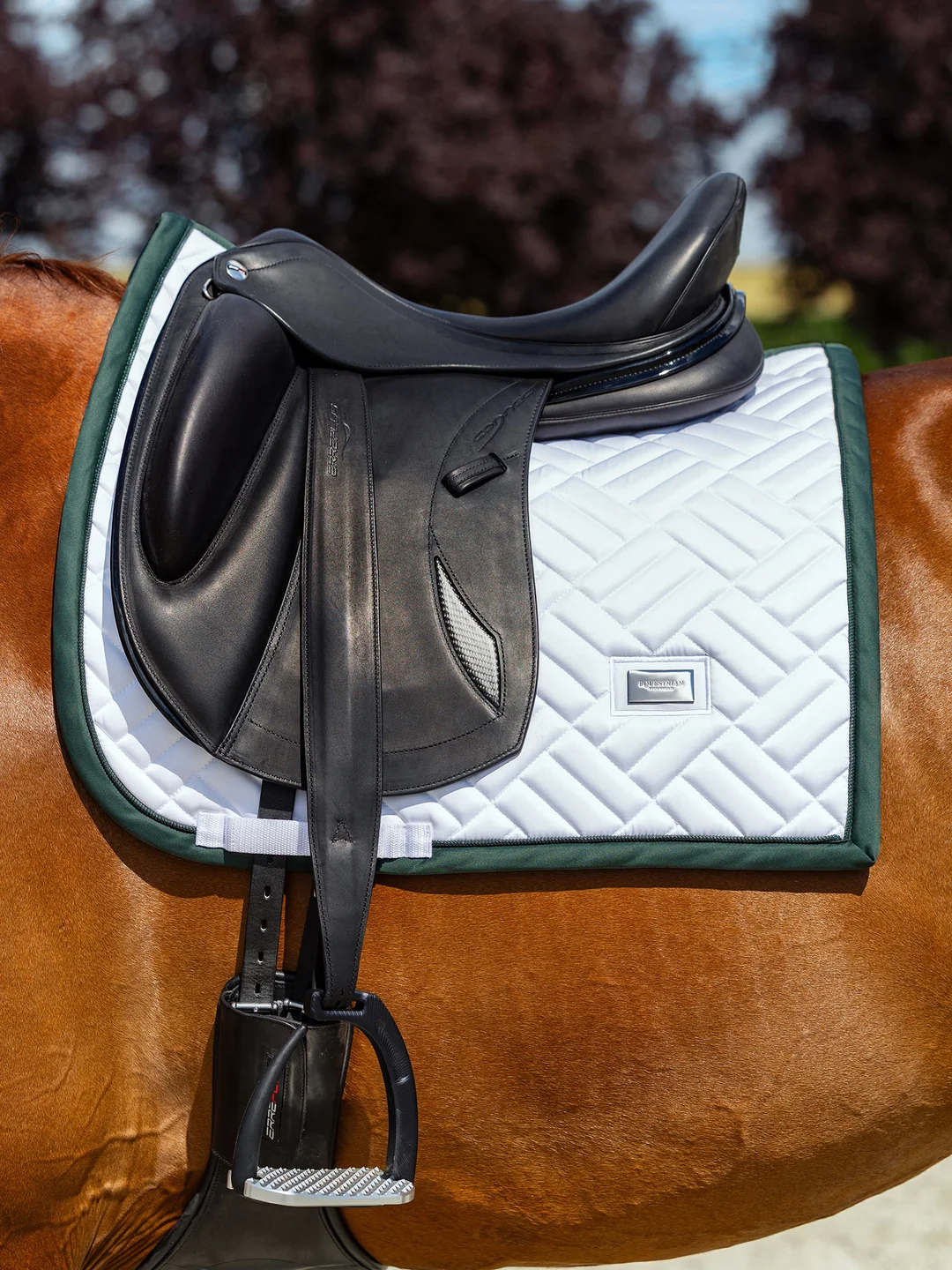 czaprak ujeżdżeniowy biały zielony sycamore equestrian stockholm  (1).webp