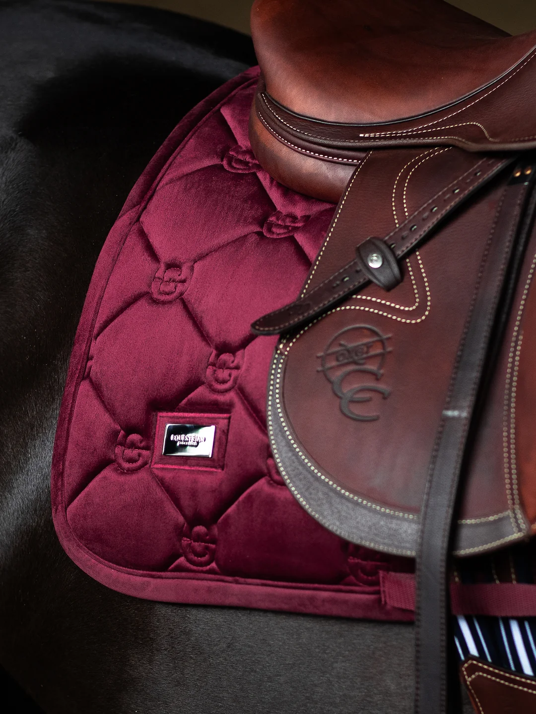 czaprak skokowy bordowy merlot velvet equestrian stockholm  (5).webp