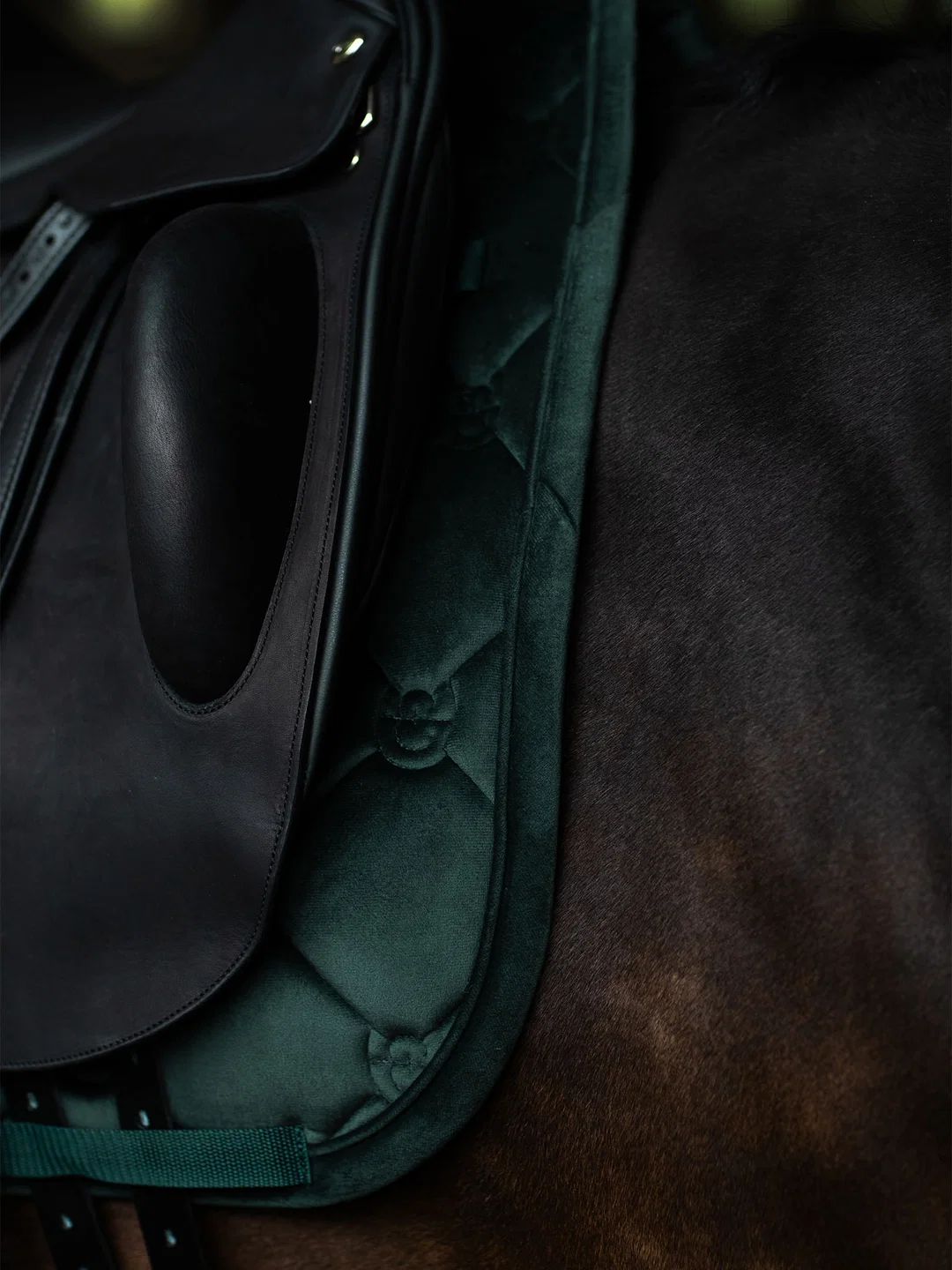 czaprak ujeżdżeniowy zielony sycamore velvet equestrian stockholm  (2).webp