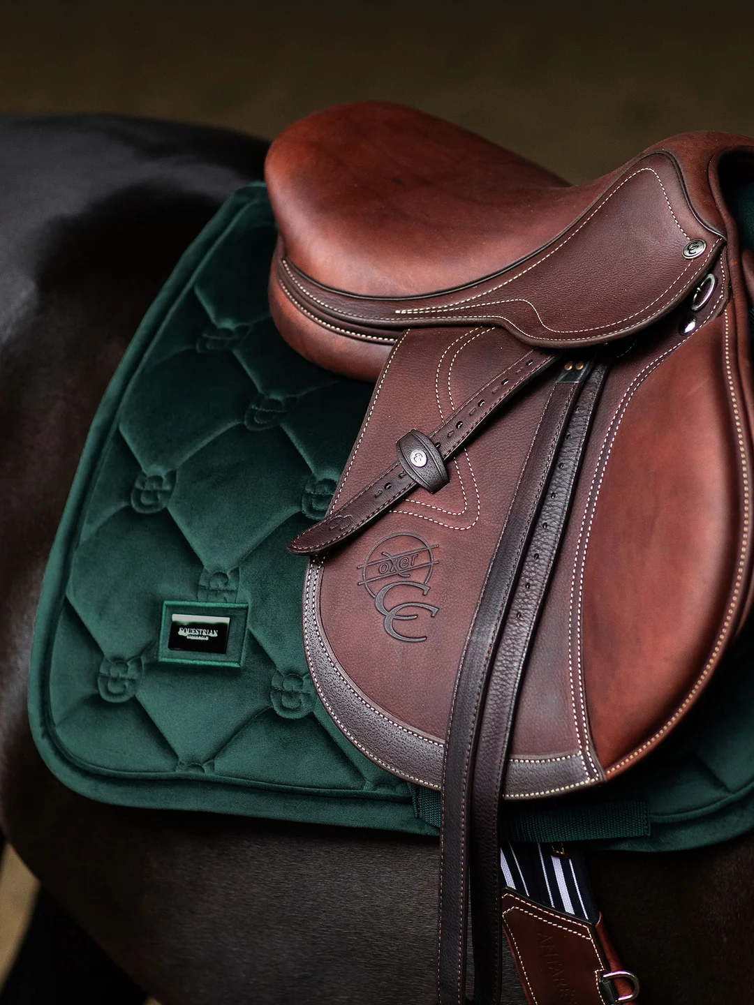czaprak skokowy zielony sycamore velvet equestrian stockholm  (1).webp