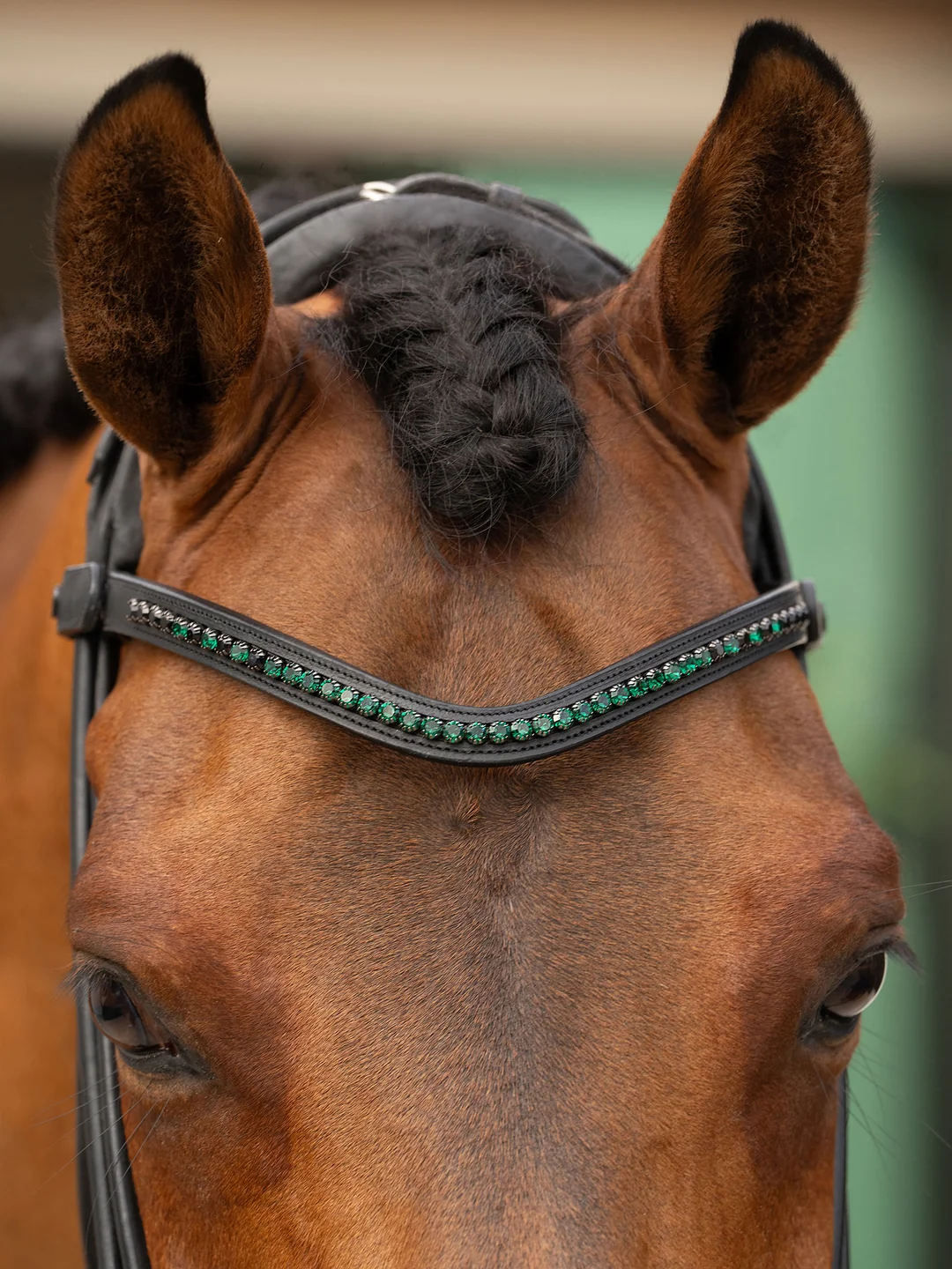 naczółek sycamore green equestrian stockholm  (1).webp