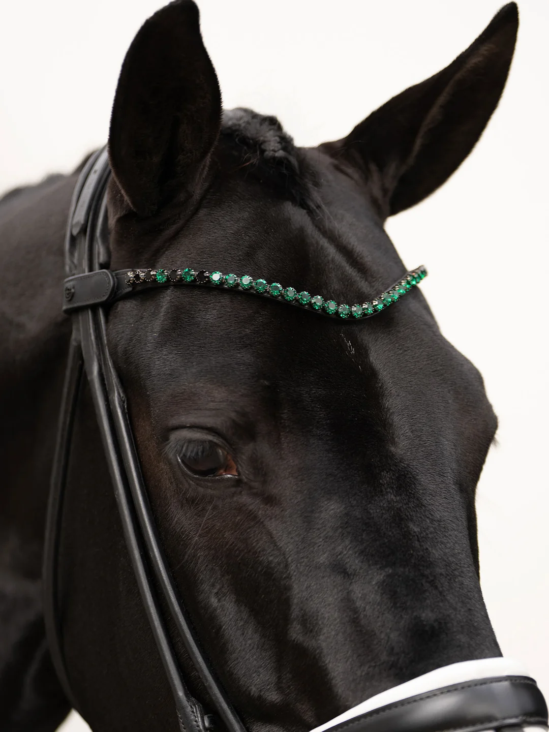 Naczółek sycamore green equestrian stockholm  (1).webp