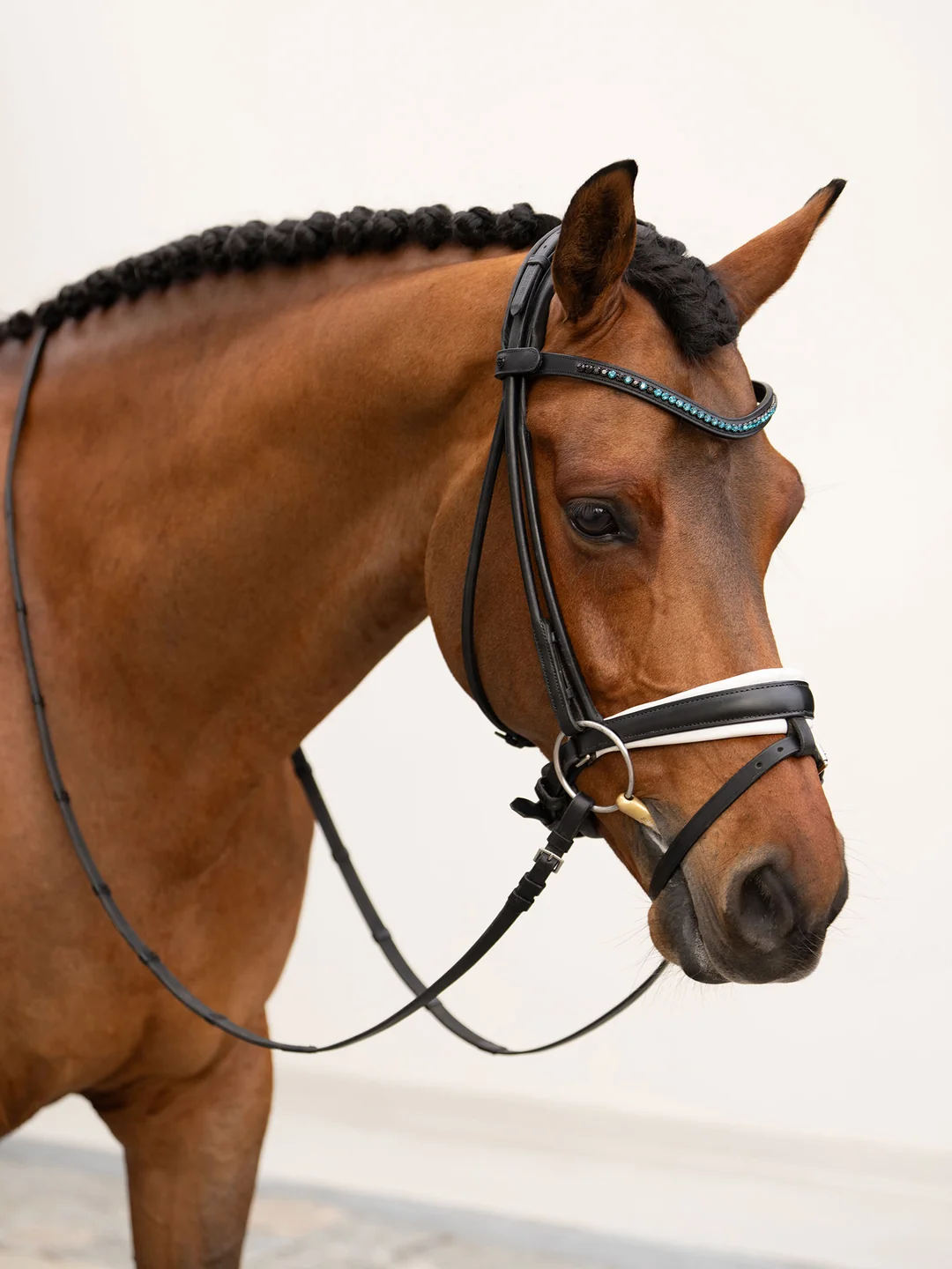 naczółek blue meadow equestrian stockholm  (5).webp