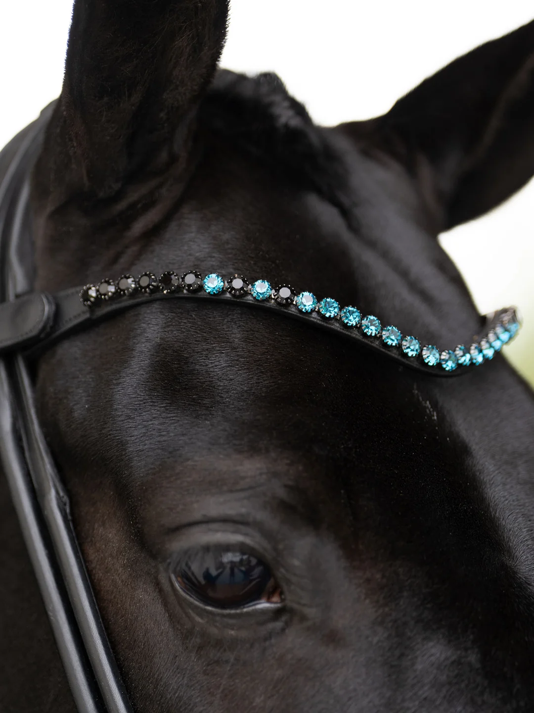 naczółek blue meadow equestrian stockholm  (1).webp