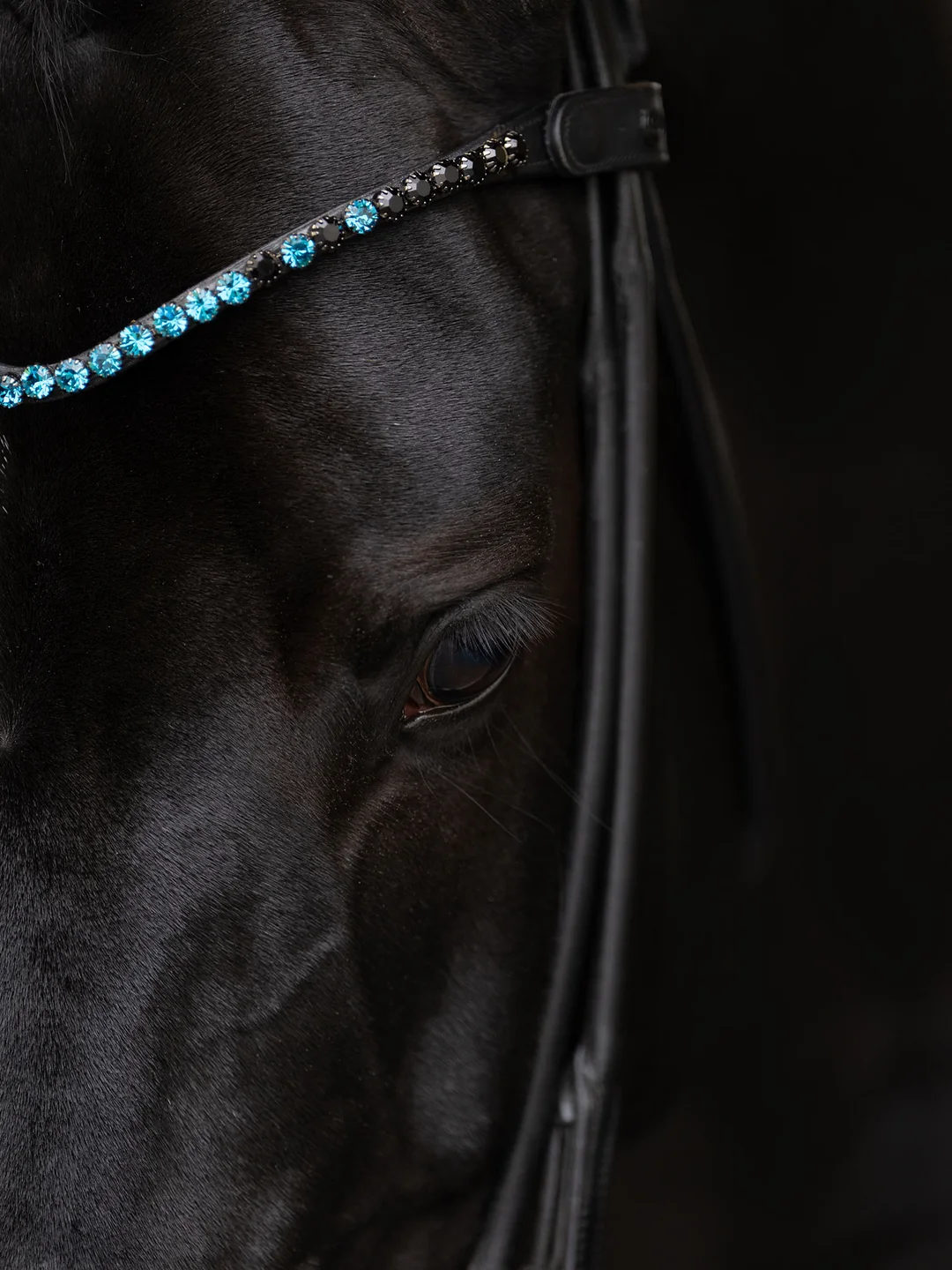 naczółek blue meadow equestrian stockholm  (2).webp