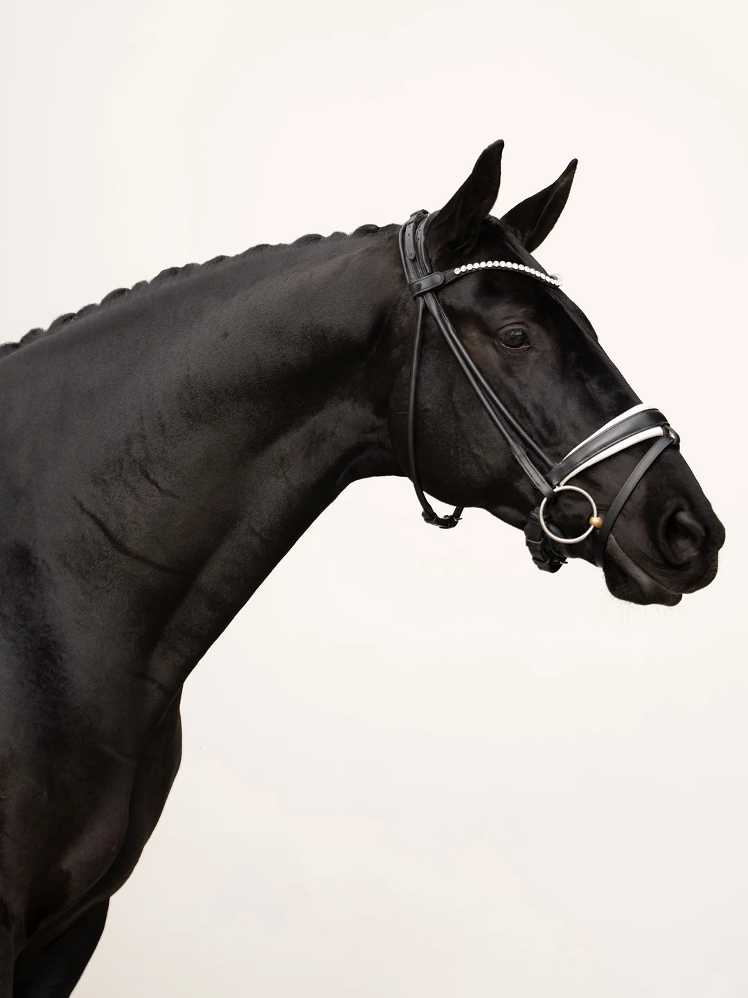 naczółek kryształki białe equestrian stockholm  (2).webp
