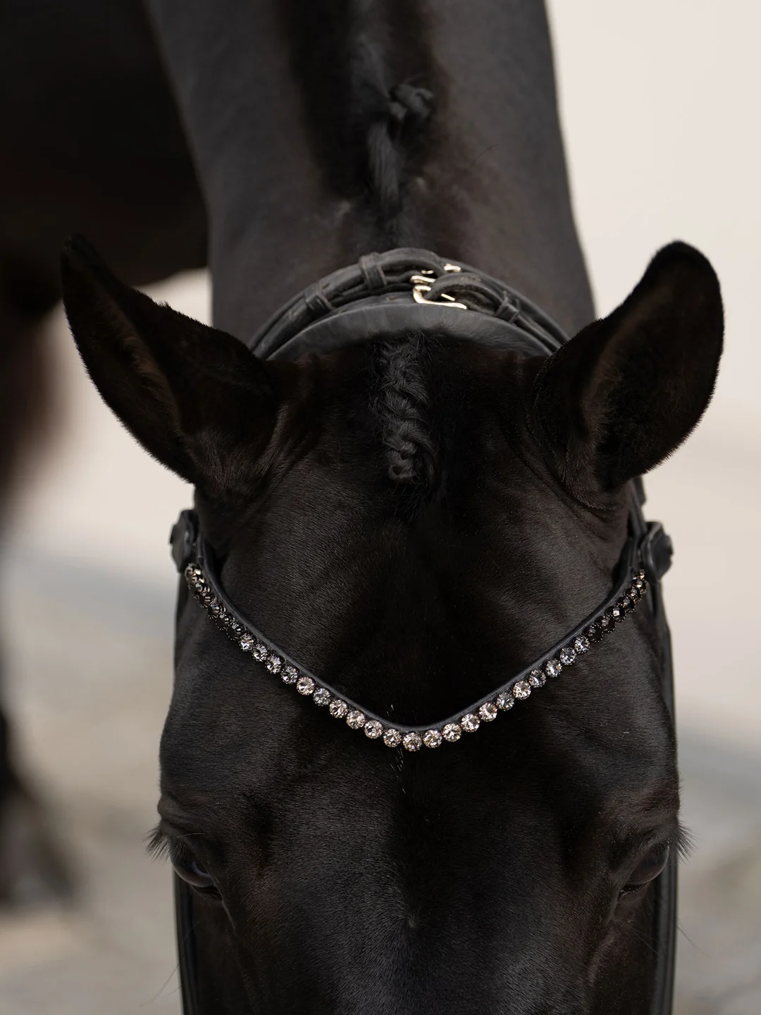 naczółek czarny equestrian stockholm  (1).webp