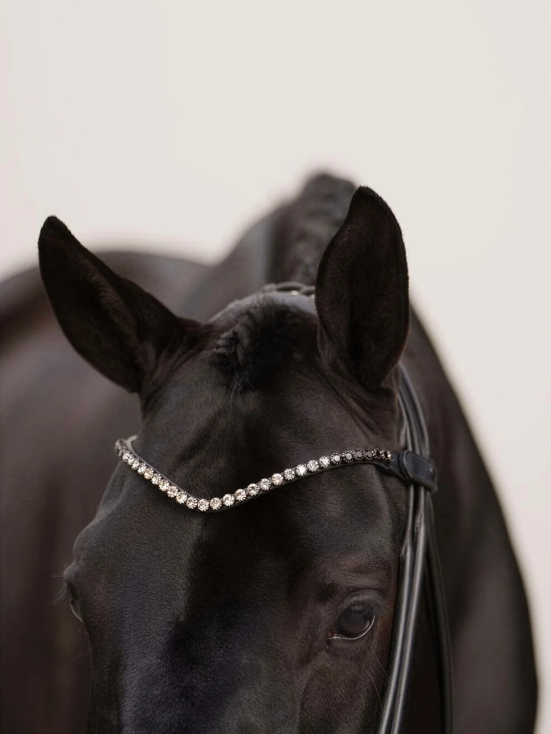 naczółek czarny equestrian stockholm  (2).webp