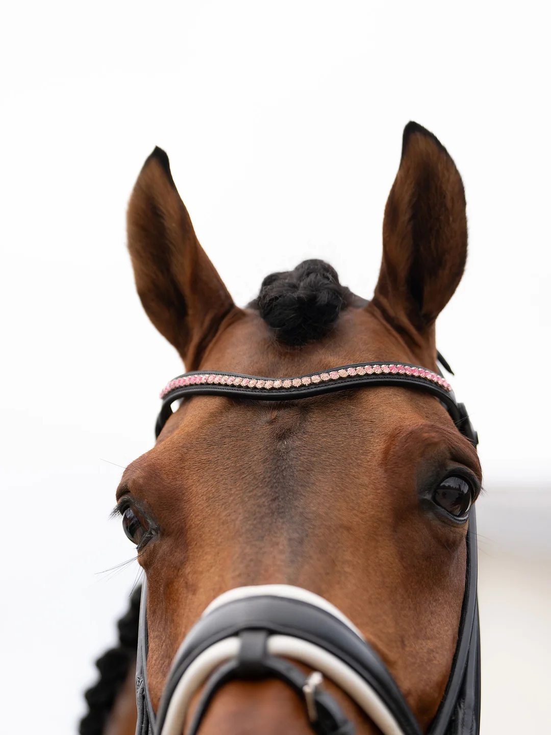 naczółek różowy kryształki equestrian stockholm  (2).webp