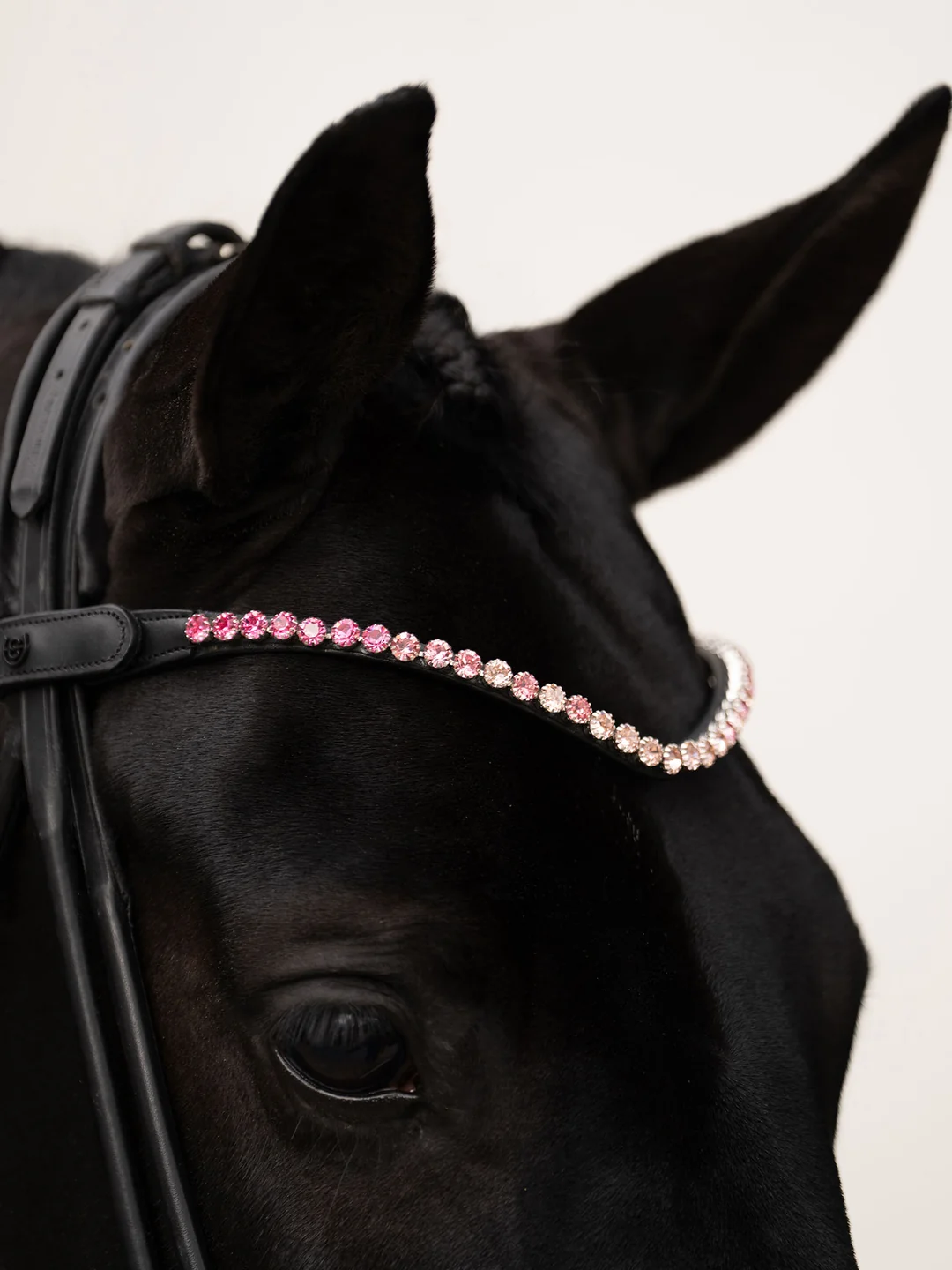 naczółek różowy kryształy equestrian stockholm  (1).webp