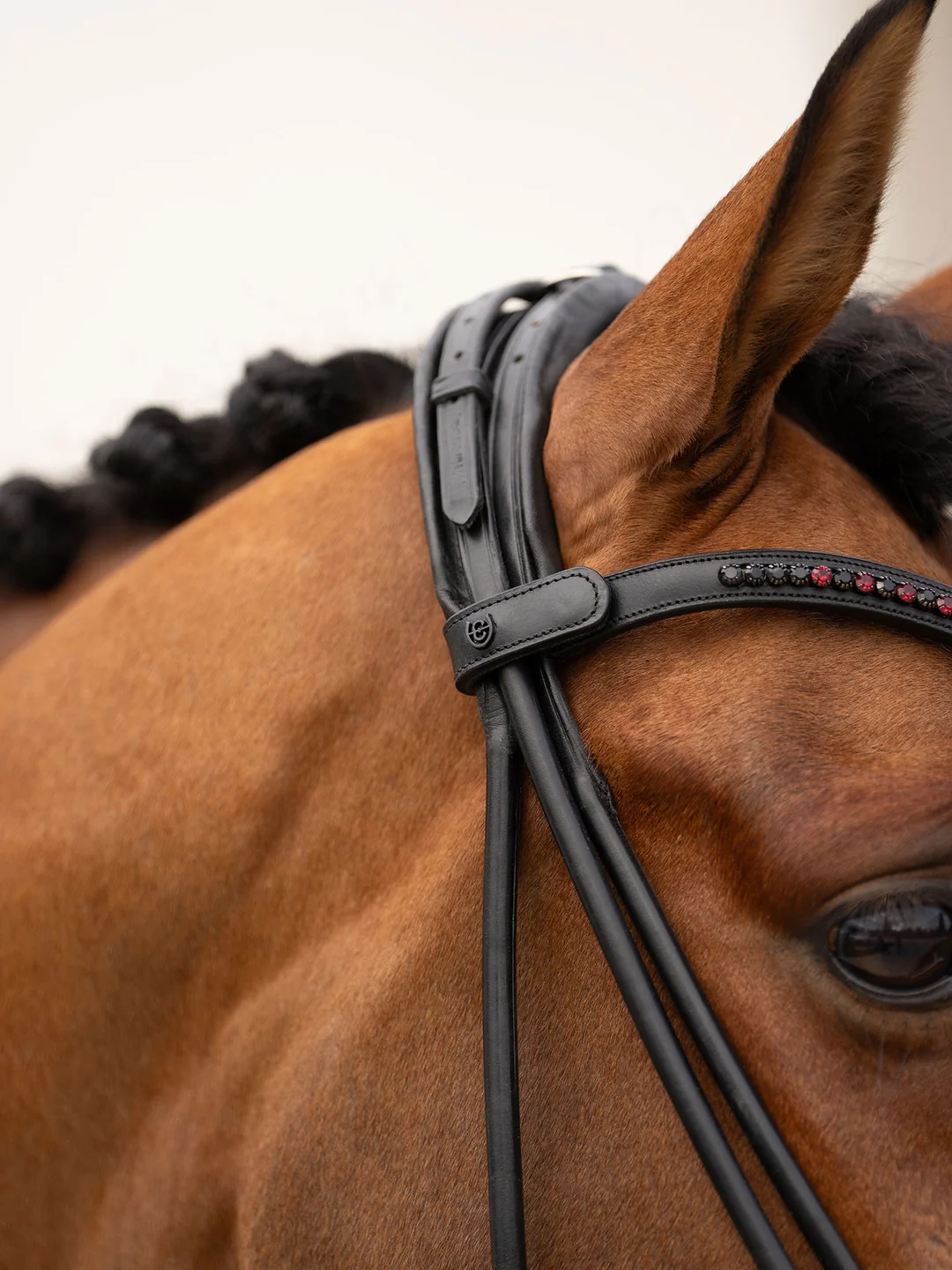naczółek czerqony merlot equestrian stockholm  (2).webp