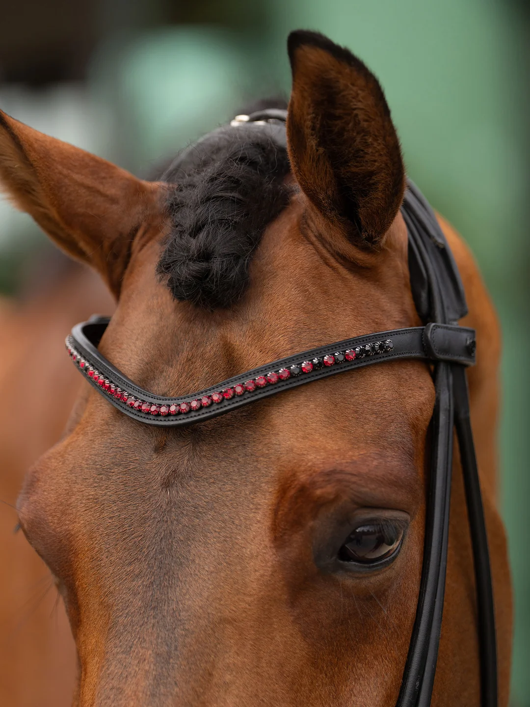 naczółek czerqony merlot equestrian stockholm  (1).webp