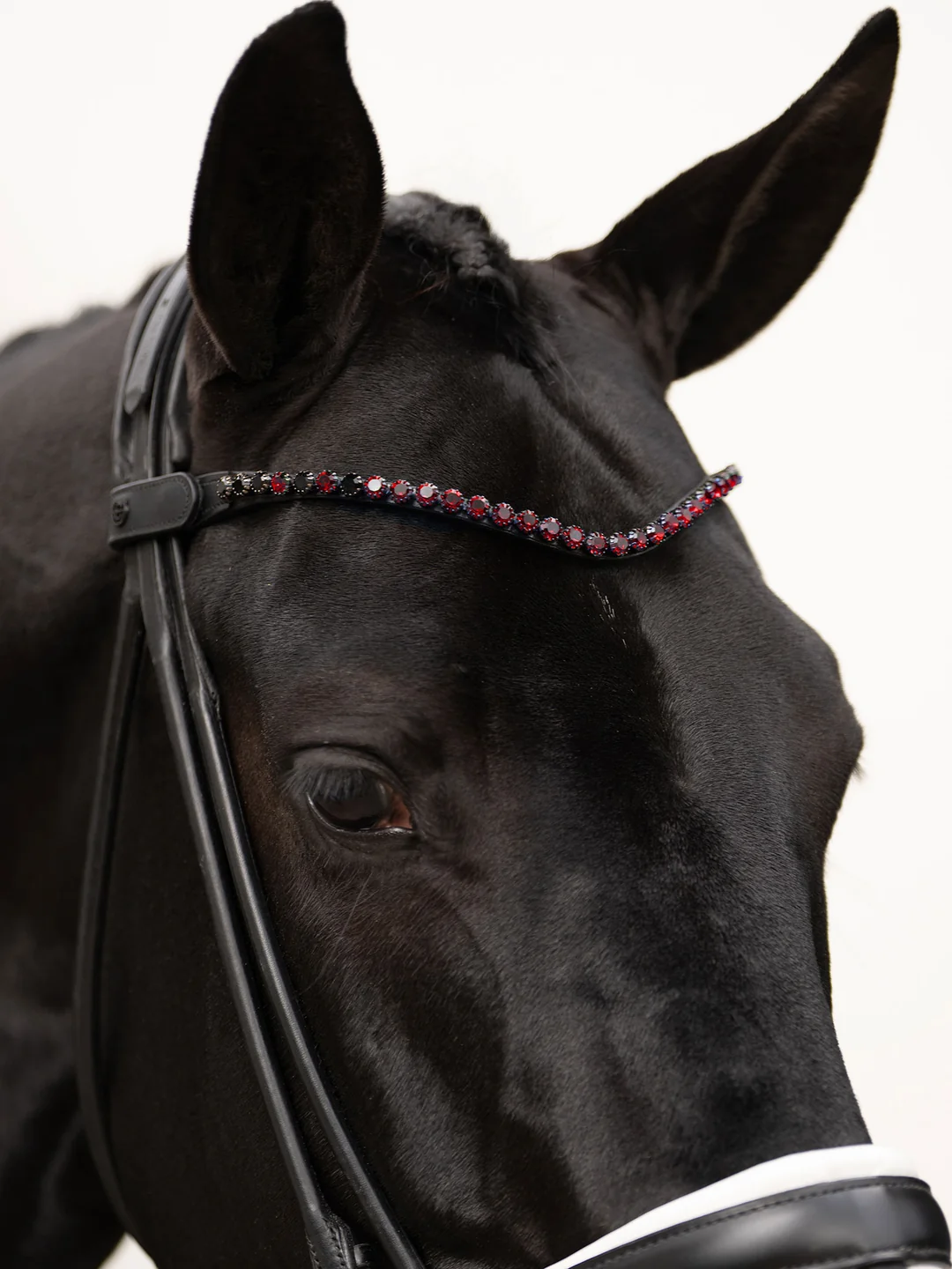 naczółek merlot czerwony equestrian stockholm  (1).webp