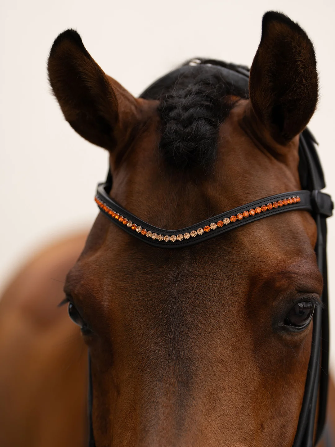 naczółek pomarańczowy equestrian stockholm  (1).webp