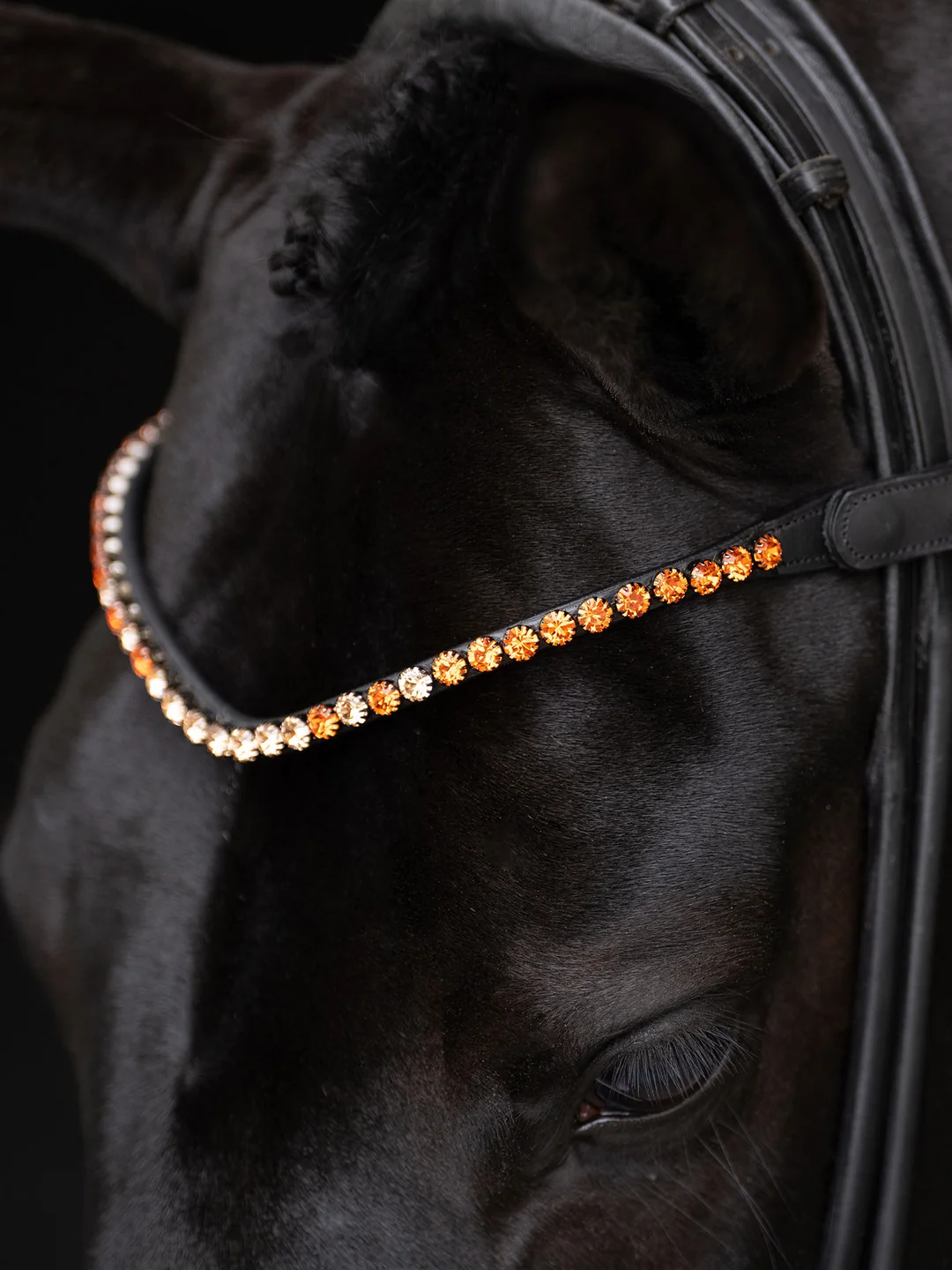 naczółek pomarańczowy equestrian stockholm  (1).webp